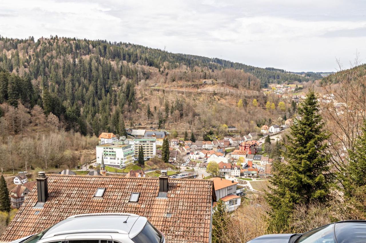 Ferienappartement Sonnenhof Triberg im Schwarzwald Eksteriør billede