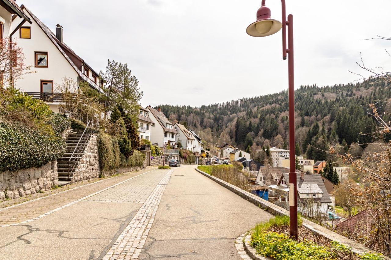 Ferienappartement Sonnenhof Triberg im Schwarzwald Eksteriør billede