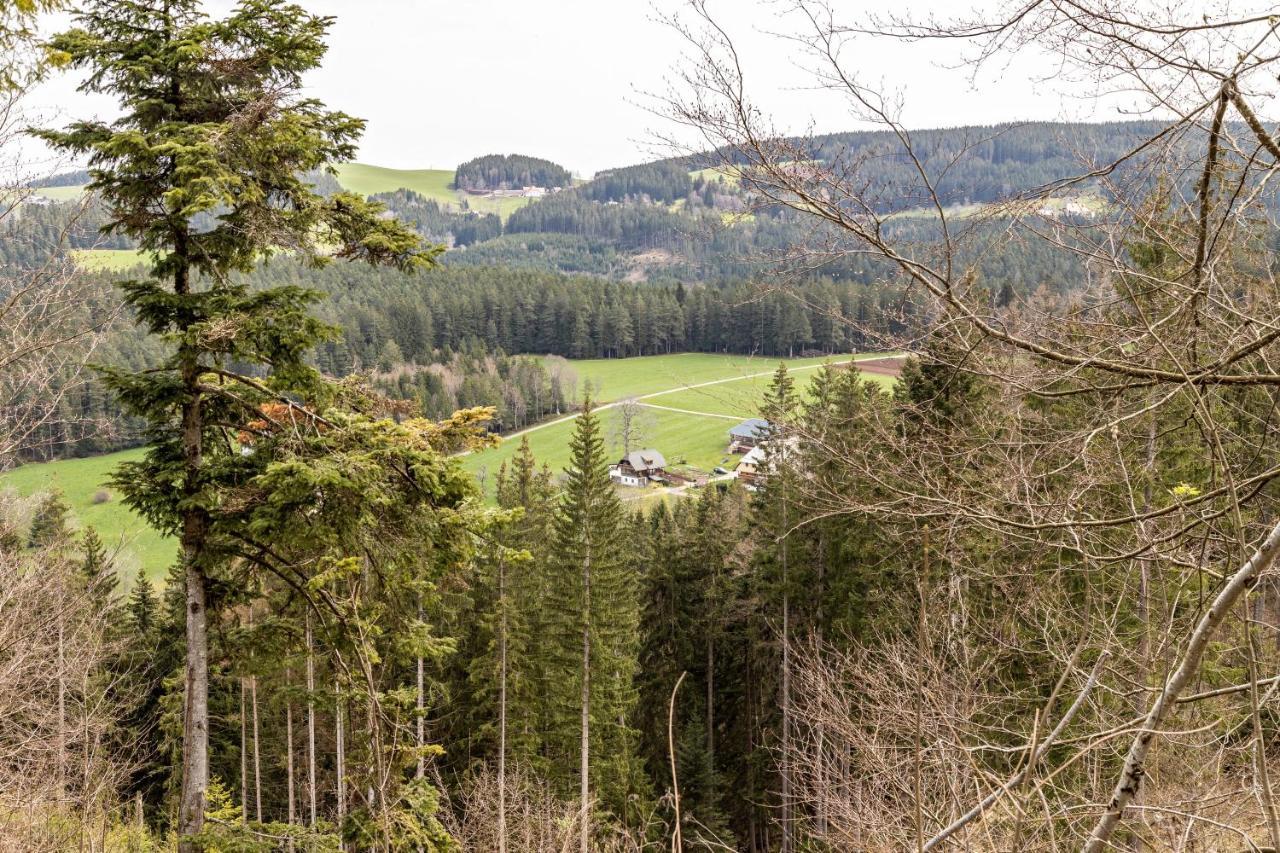 Ferienappartement Sonnenhof Triberg im Schwarzwald Eksteriør billede